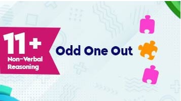 11+NVR - Odd One Out - Pack 2